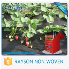 Wholesale 35gsm TNT Non-woven agriculture greenhouse & crop cover & strawberry cover fabric cloth roll